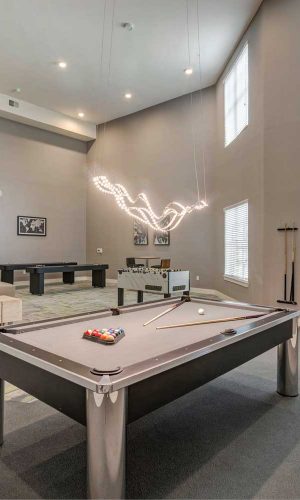 Haven at Augusta Woods game-3 One and Two Bedroom Apartments in Spring, TX near Houston, Tomball, Conroe, and The Woodlands, pet friendly luxury apartment community